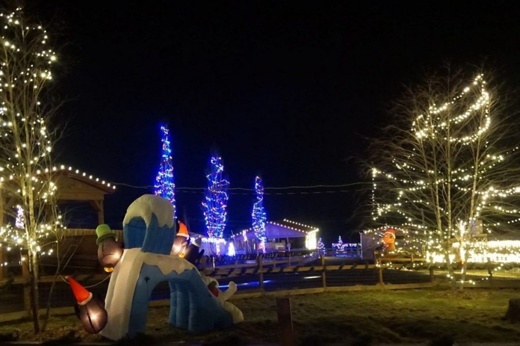 holiday lights on display at jungle bells animal adventure park