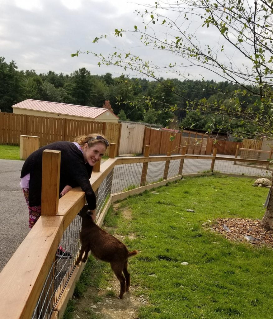 woman bends over a fence to pet a miniature goat who seems happy for the attention