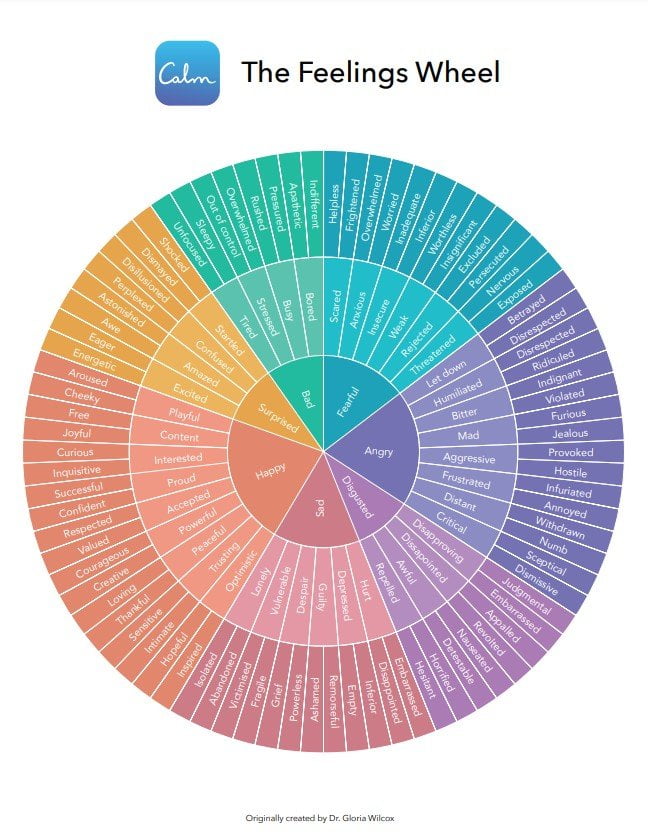 Feelings Wheel Colored Version