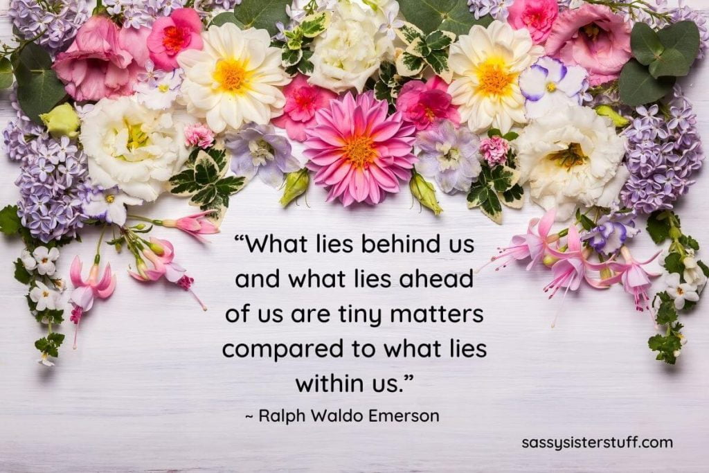 Motivational Quotes On Growth 55 Awesome Self Growth Quotes To Inspire Your Personal Development | Sassy  Sister Stuff