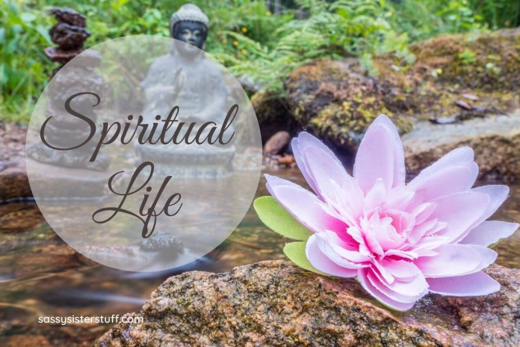buddha stacked stones a small stream a pink flower and greenery with spiritual life written on it