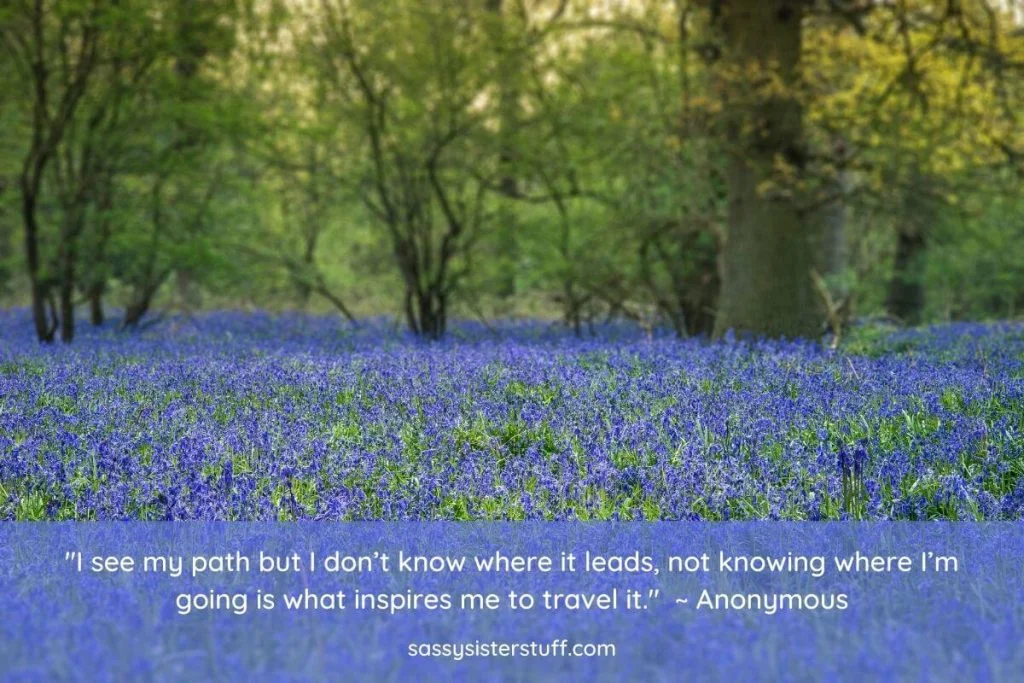 a field of blue flowers with green trees in the background and a quote about being inspired by unknown paths