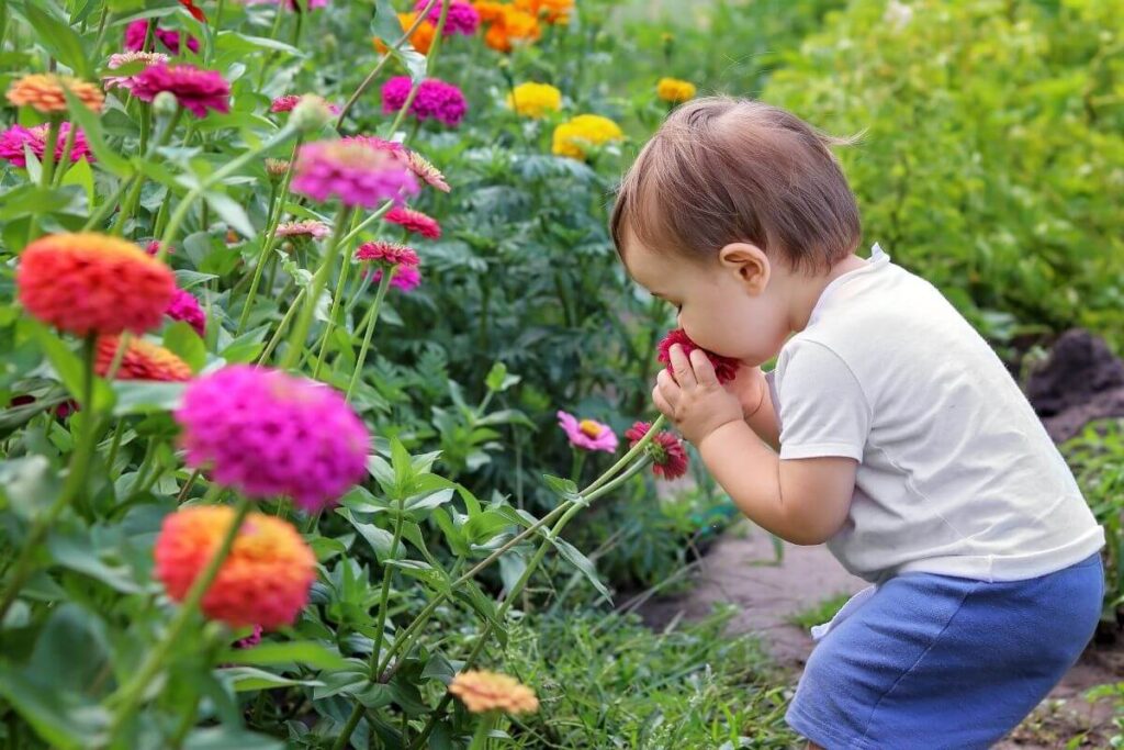 a toddler bends over and smells a flower in the garden