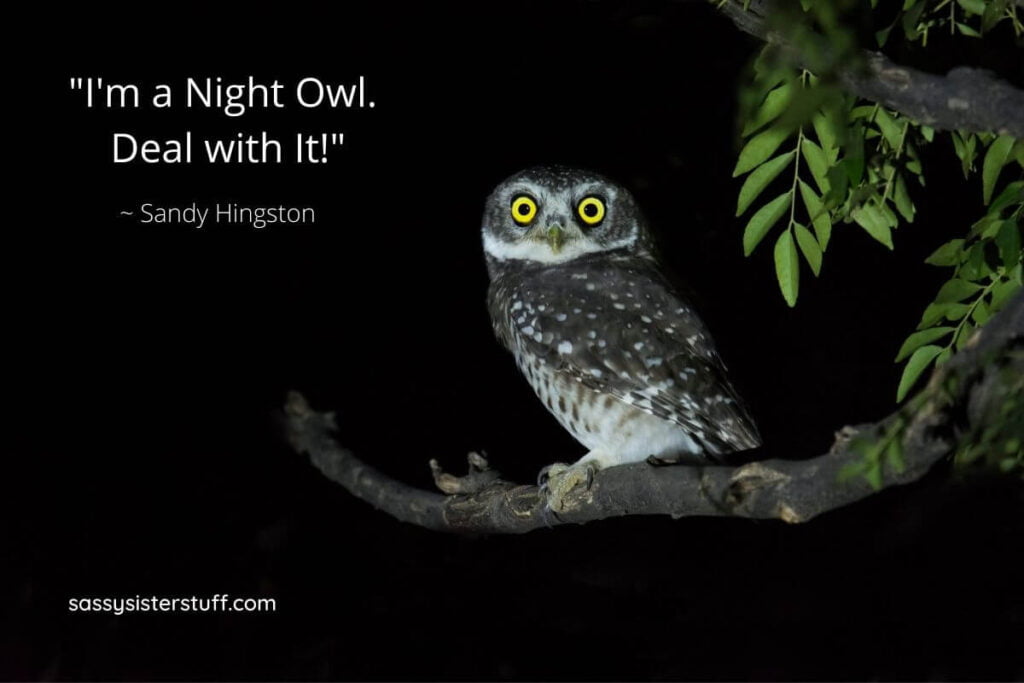Intensive English Center - Idiom of the day: night owl You call someone a  night owl if they are always (or usually) up late. This is the opposite of  an early bird