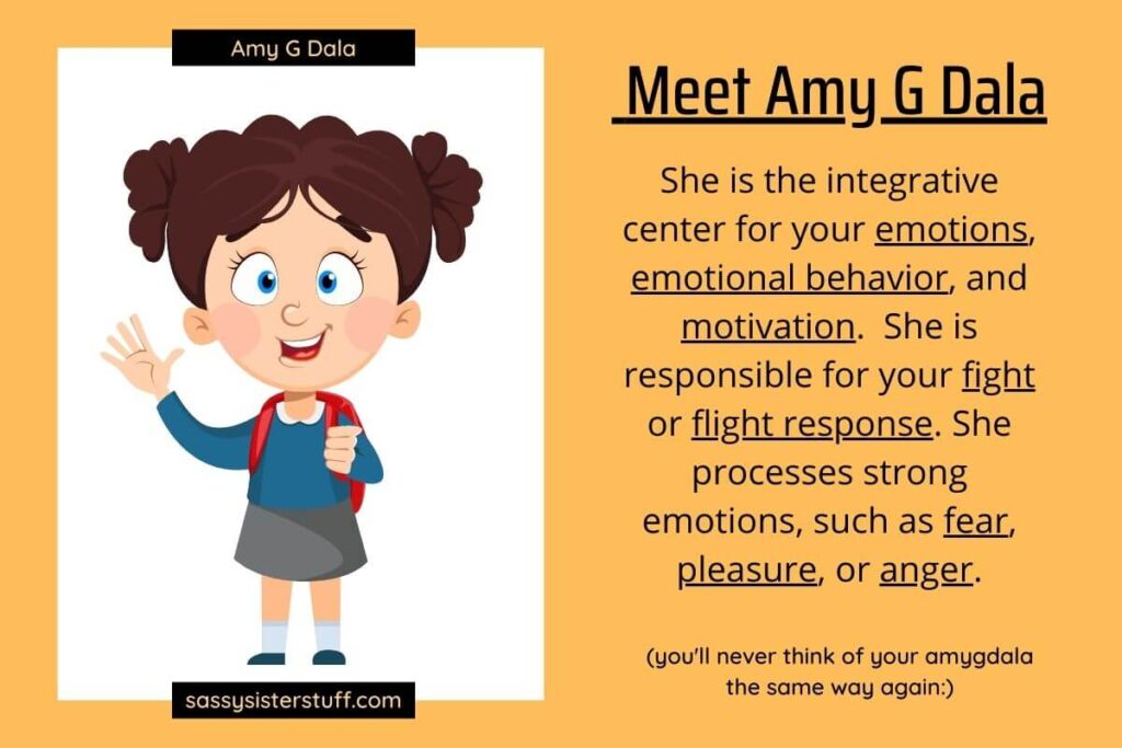 an info graphic about amygdala that explains the role of the amygdala and shows a silly little girl that represents how to rewire your anxious brain through the amygdala