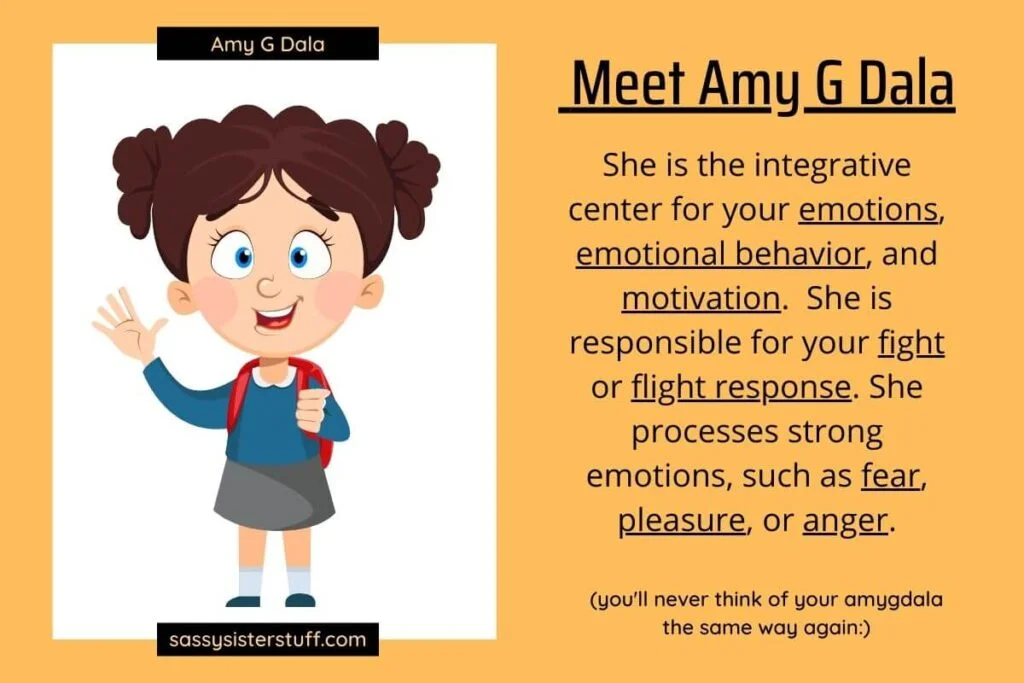 an info graphic about amygdala that explains the role of the amygdala and shows a silly little girl that represents how to rewire your anxious brain through the amygdala