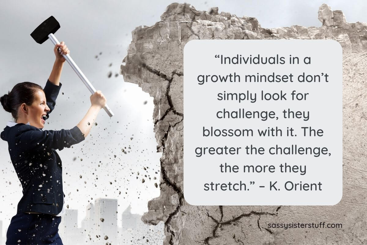 19 Powerful Reasons Why Mindset is Everything Sassy Sister Stuff