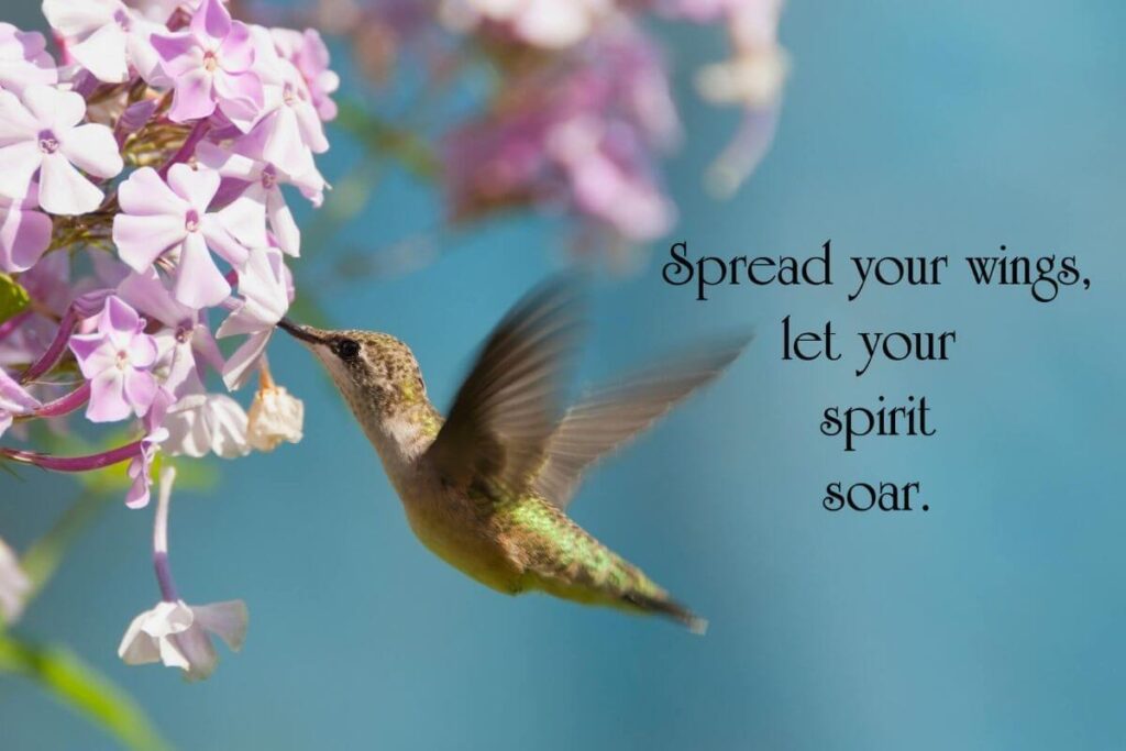 a close up of a hummingbird drinking from pink flowers and a quote about letting your spirit soar