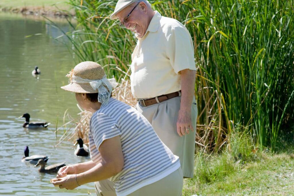 an elderly couple stands on the shore of a lake and feeds the ducks as they discuss life lessons from ducks