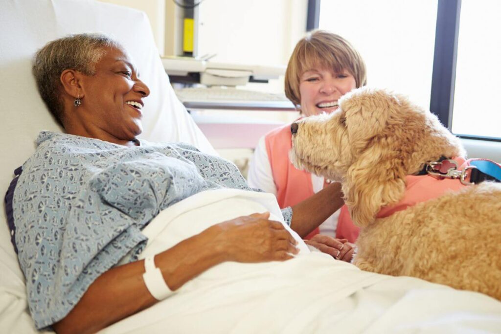 a happy middle aged woman brings a beautiful golden service dog to visit a delighted elderly woman in the hospital