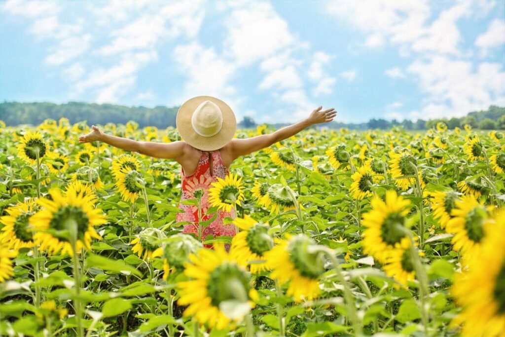 a woman wearing a straw hat and sundress standing in a sunflower field shows how happiness can improve as you age