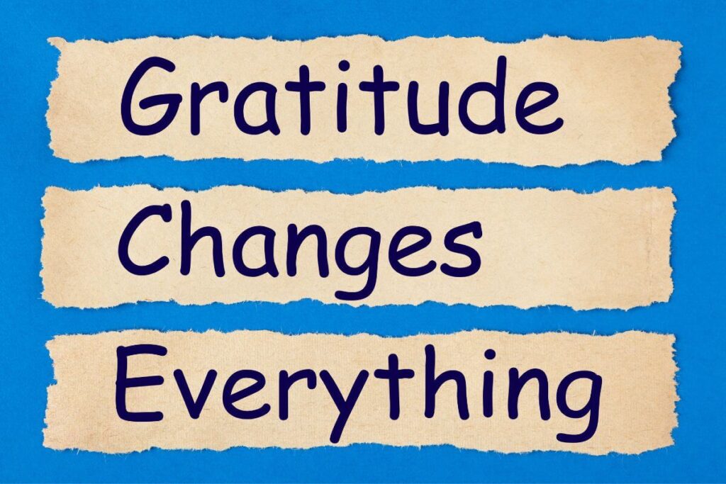 top view of torn pieces of paper that say gratitude changes everything