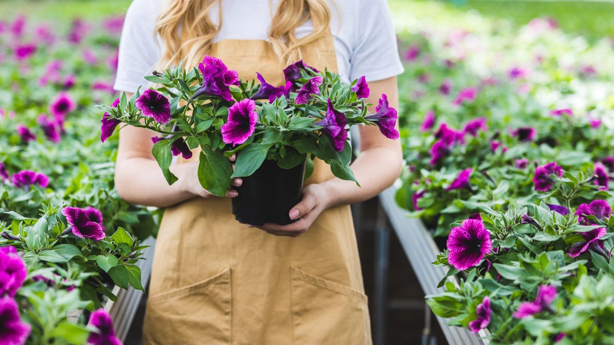 woman in garden