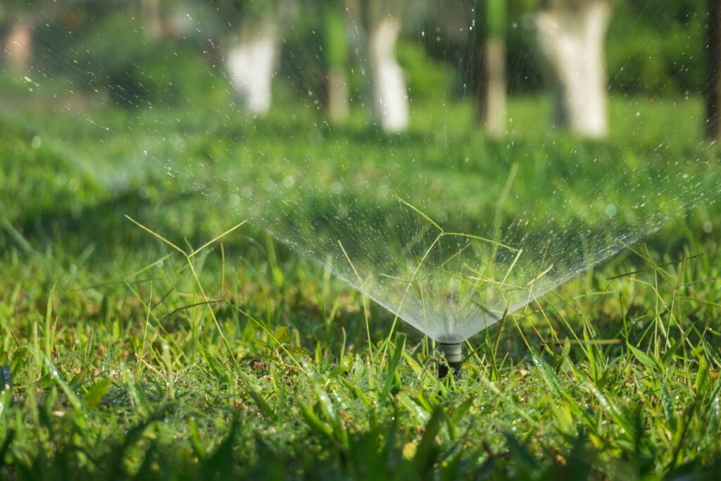 Sprinkler on a Grassy Field
