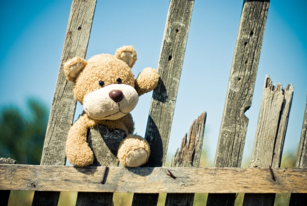 Brown Teddy Bear on Brown Wooden Fence