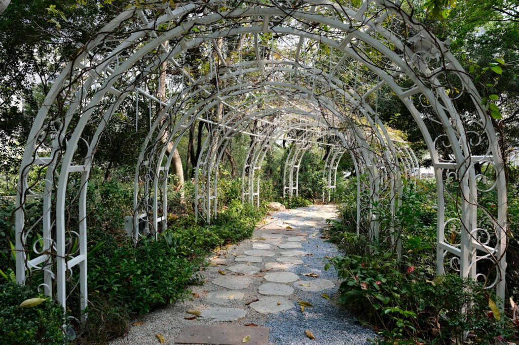 Enchanting Garden Pathway with Arched Pergola
