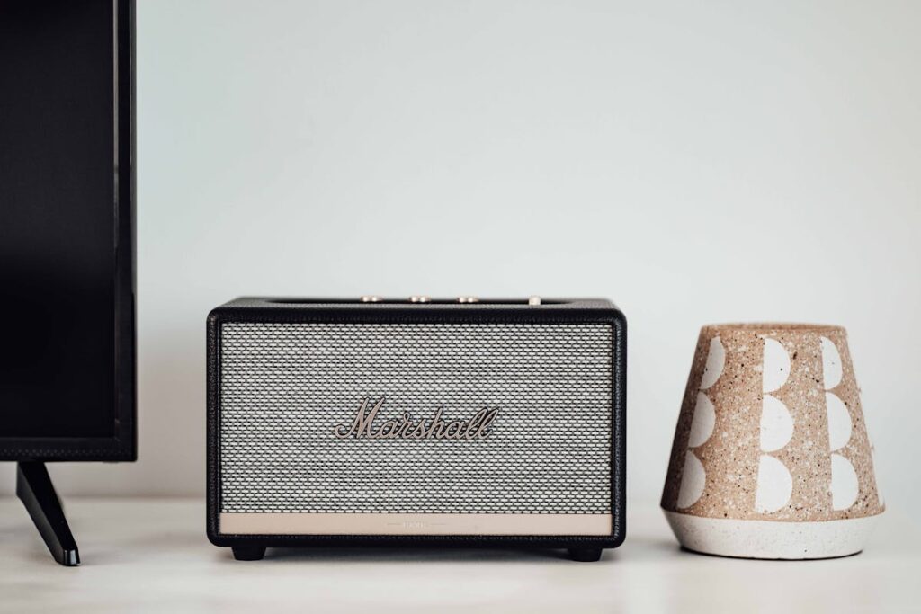 Wireless Marshall Speaker
