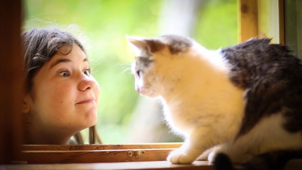 girl making face at cat