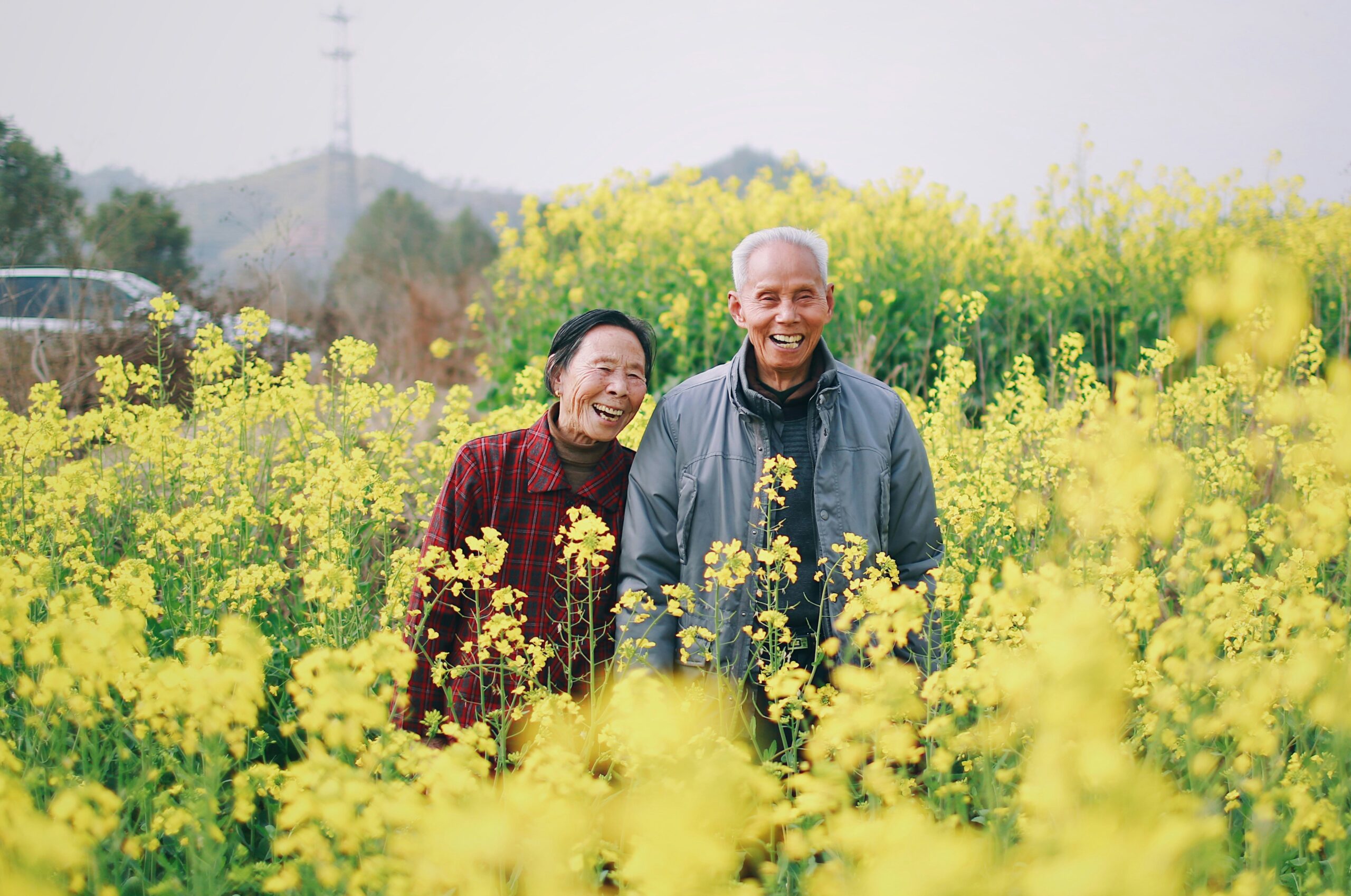 man and woman standing surrounded by yellow flowers.Jaddy Liu scaled