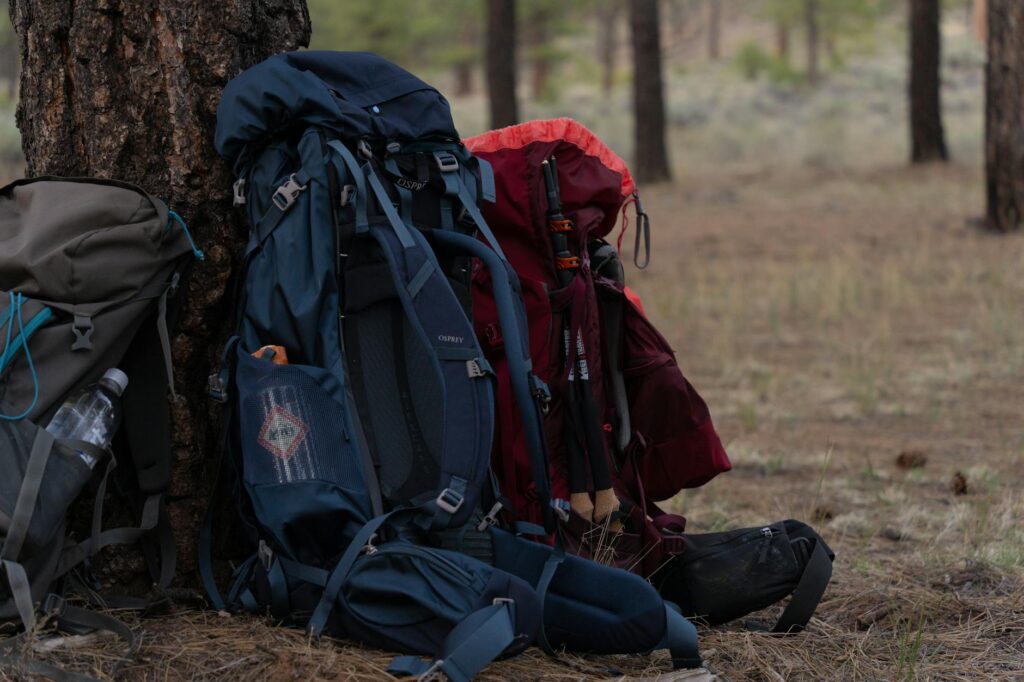 Free stock photo of adventure, arizona, backpacking
