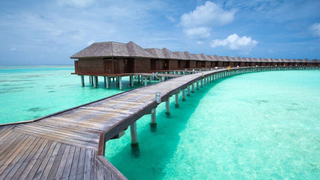 The Maldives