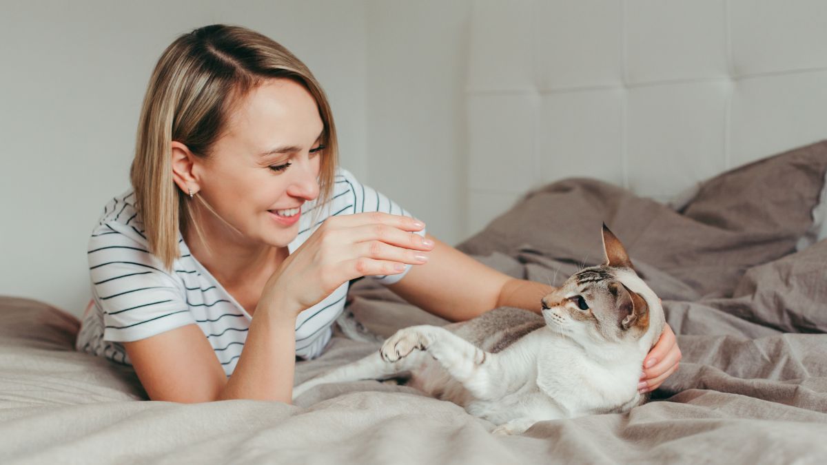 woman playing with cat on bed