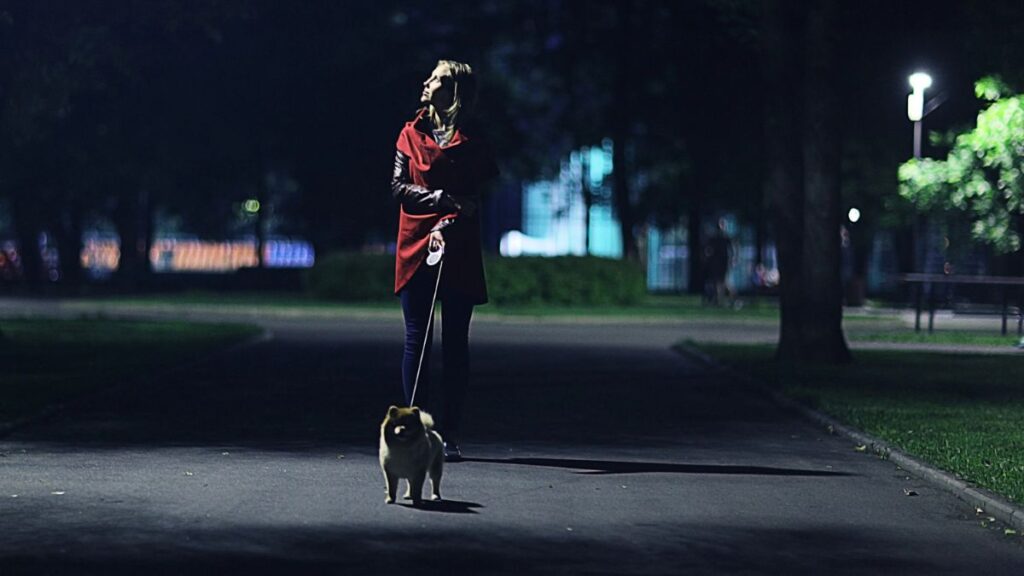 woman walking with dog at night