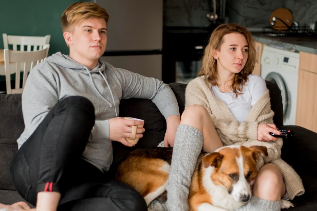 How to manage shared pet custody