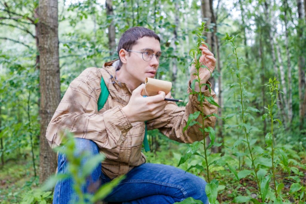 Plant identification and foraging