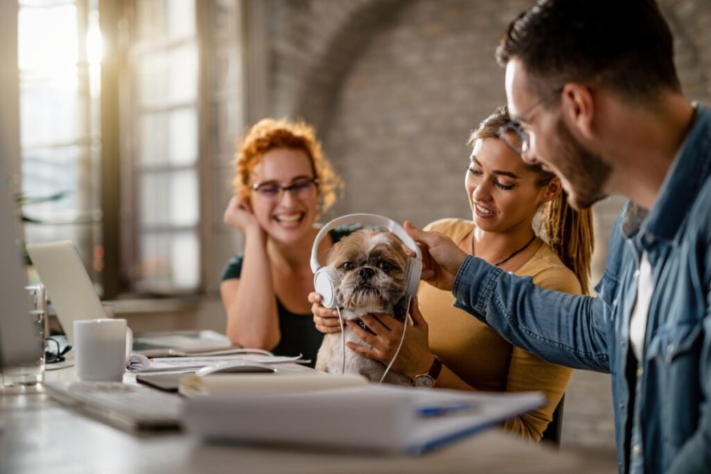 Prohibiting pets in the office