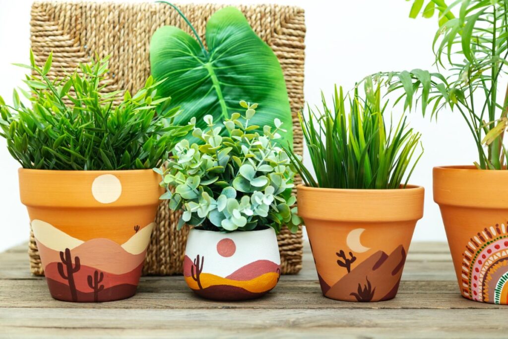 Terracotta plant pots