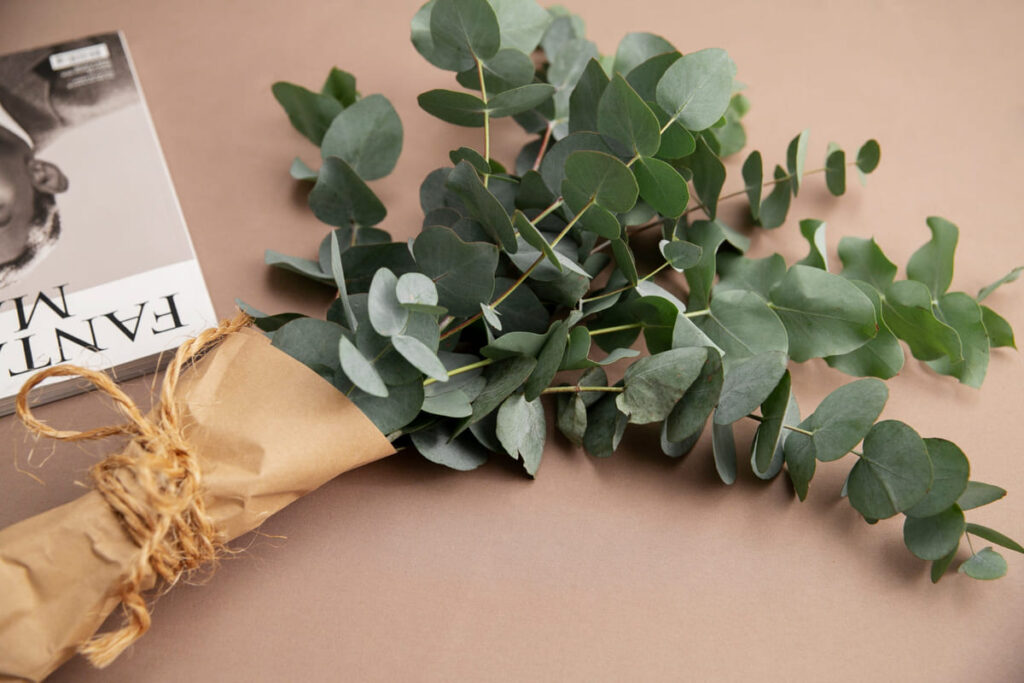 Use eucalyptus bundles for natural scent