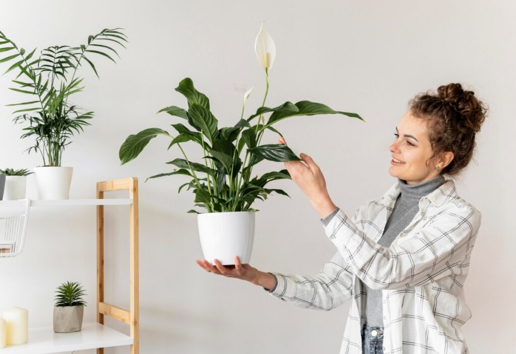 Add fresh greenery with pothos plants