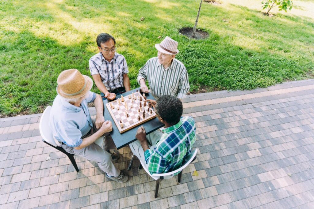 Chess in Public Parks