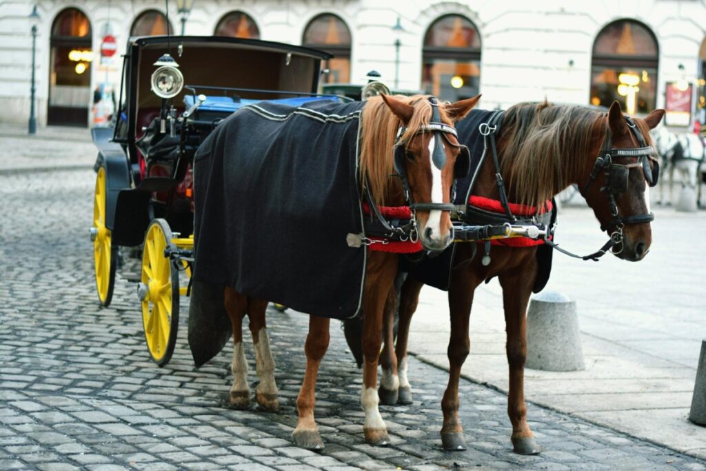Horse-Drawn Carriage Ride in Manhattan