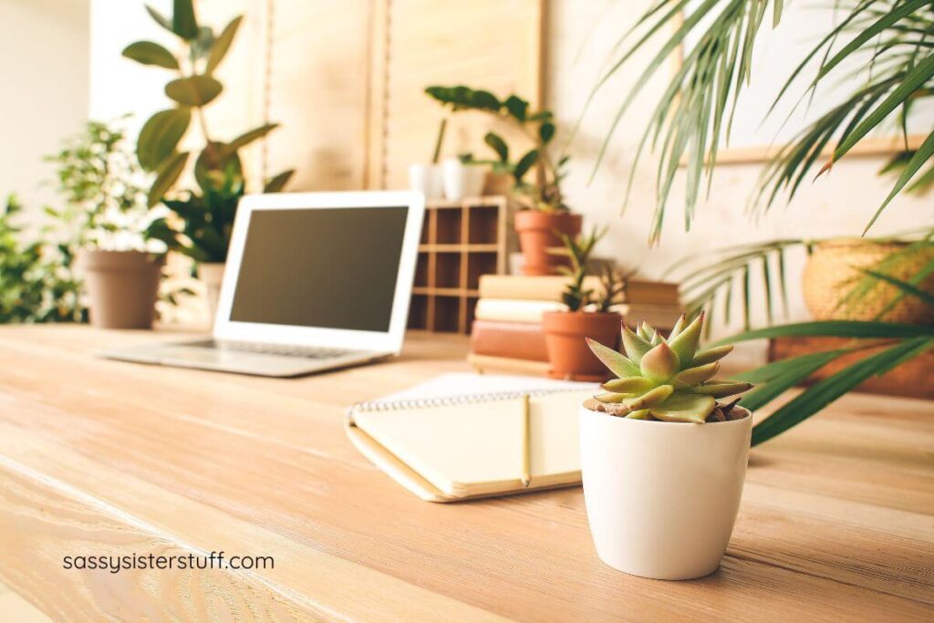 a relaxing work space with a notebook, green plants, shelves, a laptop, pencil and books.