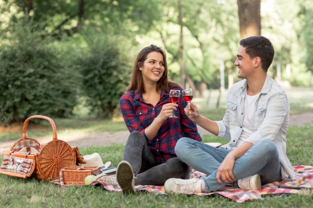 Picnic in Central Park