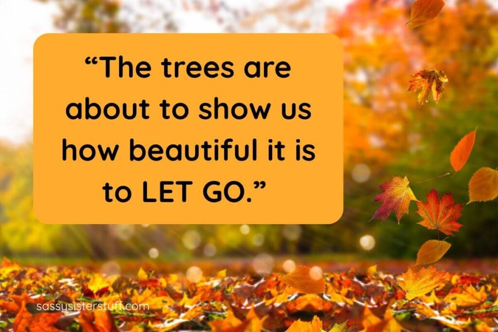 Inspirational Quotes for Fall: The trees are about to show us how beautiful it is to let go. + Beautiful Autumn background.