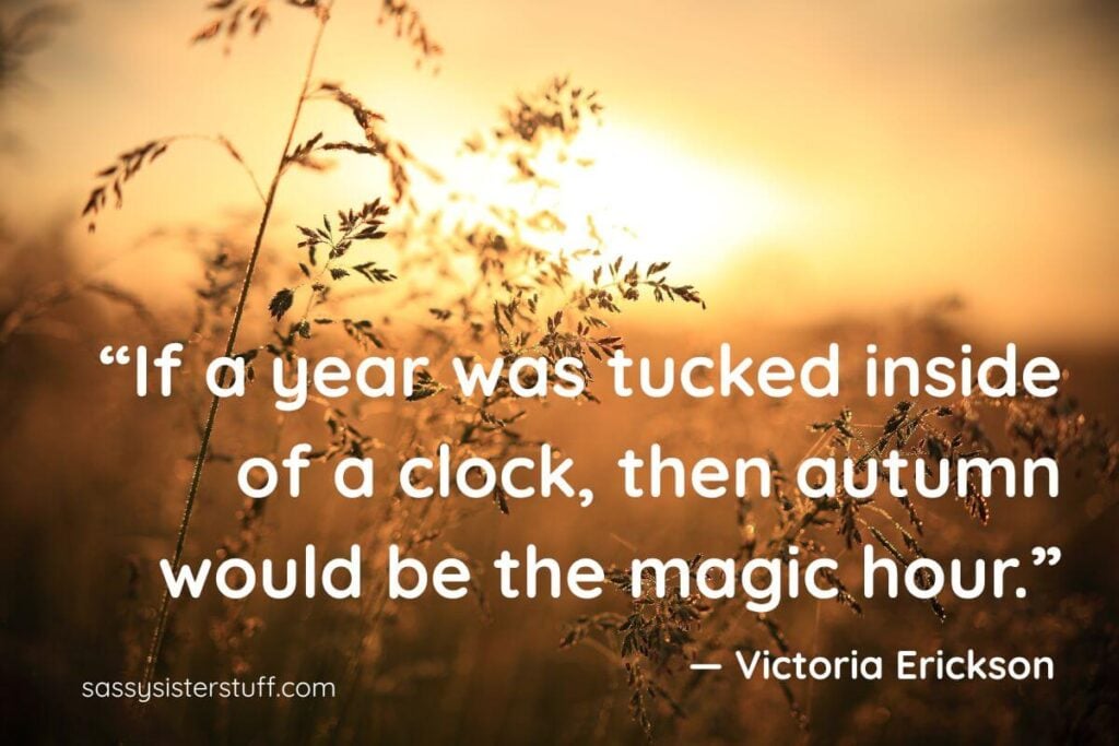Inspirational Quote: If a year was tucked inside of a clock, then autumn would be the magic hour. Victoria Erickson + Beautiful Autumn background of a wheat field int he sunlight.