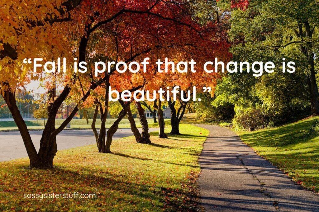 Inspirational Quotes for Fall: Fall is prooof that change is beautiful. + Beautiful Autumn background with trees changing colors and leaves falling to the ground.