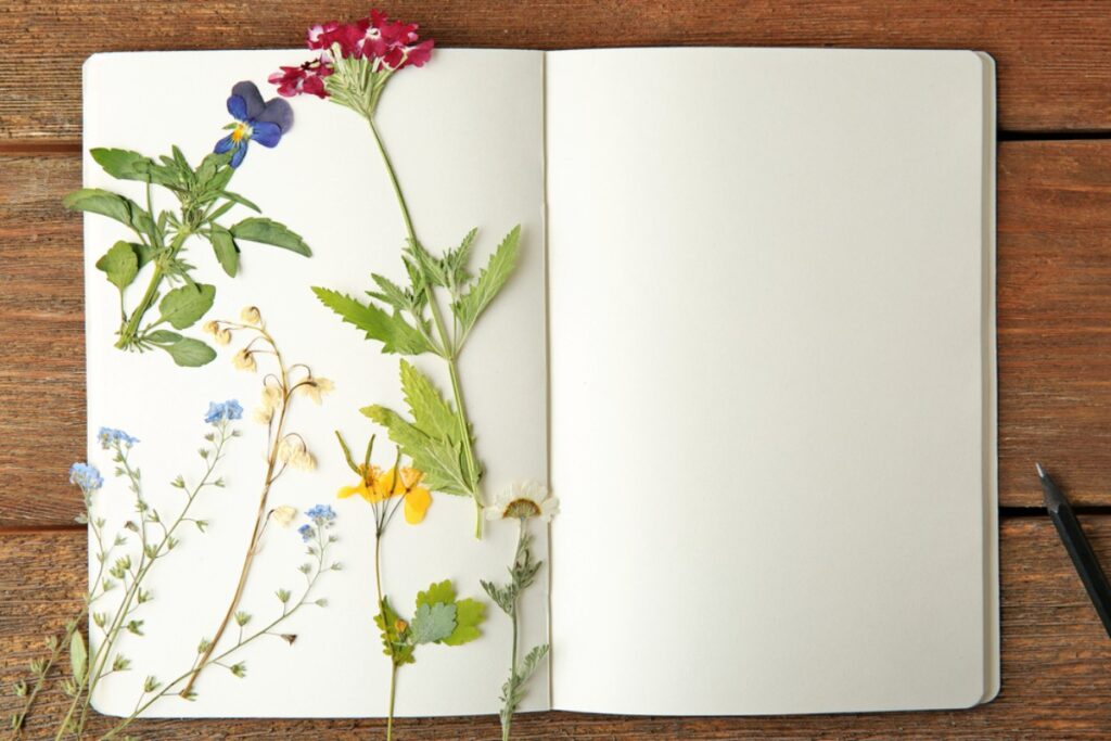 Pressed Flowers in Books