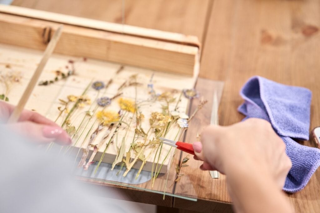 Pressed flowers