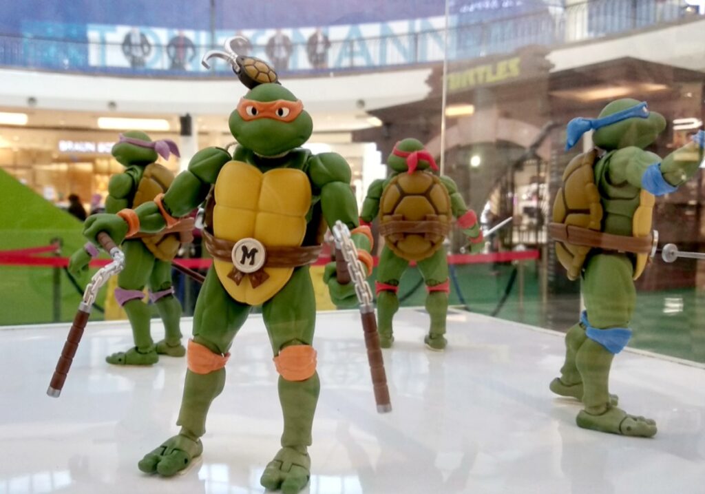 Teenage Mutant Ninja Turtles Training