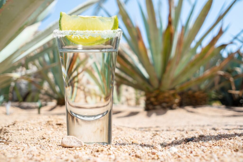 Tequila Shots