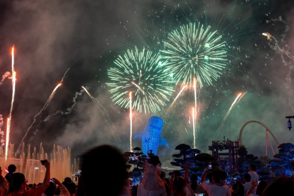Watching fireworks inside the park and facing crowds