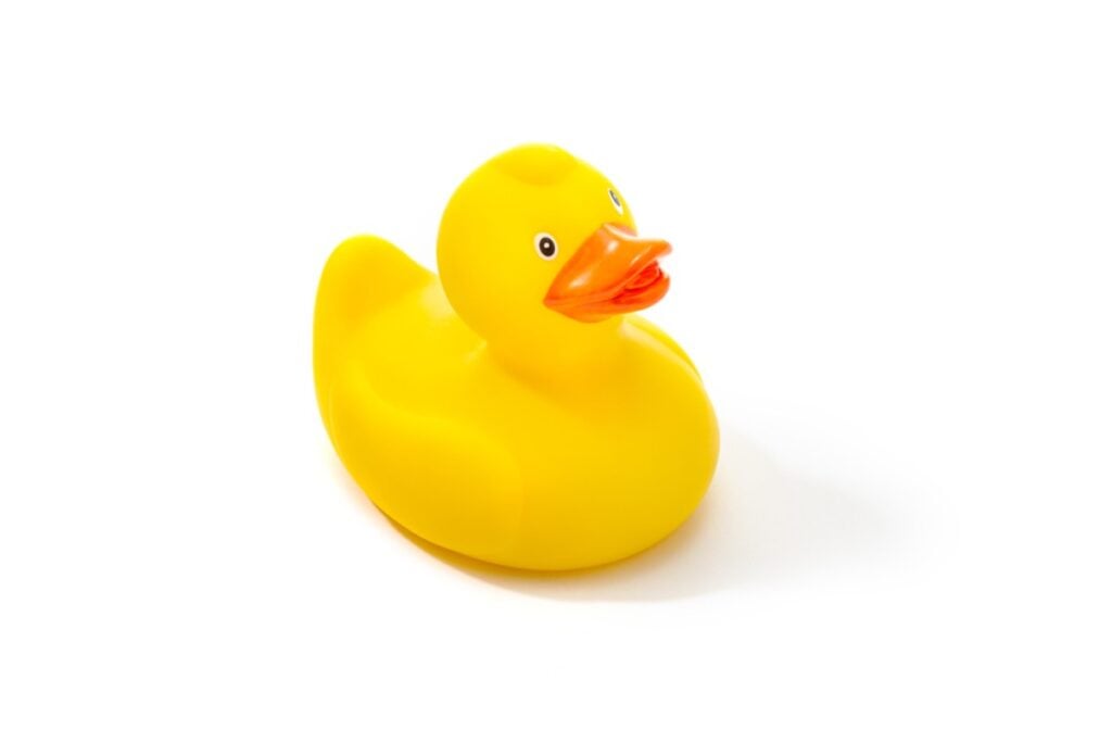 Miniature rubber duck with no bathtub in sight
