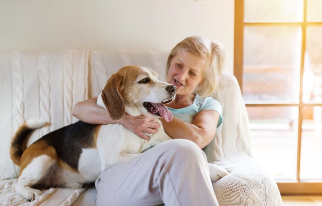 Snuggling with a pet on the couch