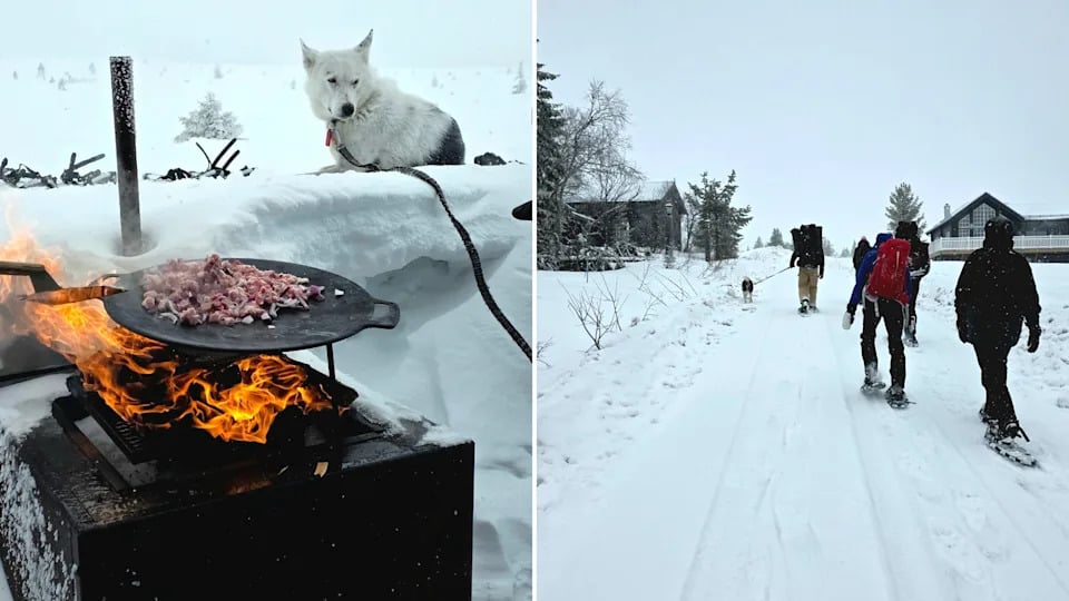 Gastronomy walk with Explore Salen