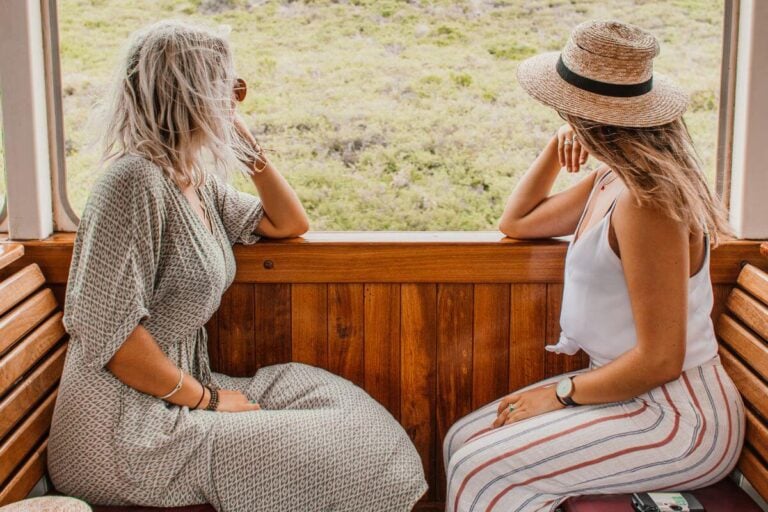 two women on an open window train looking out over the pasture on their weekend getaway.