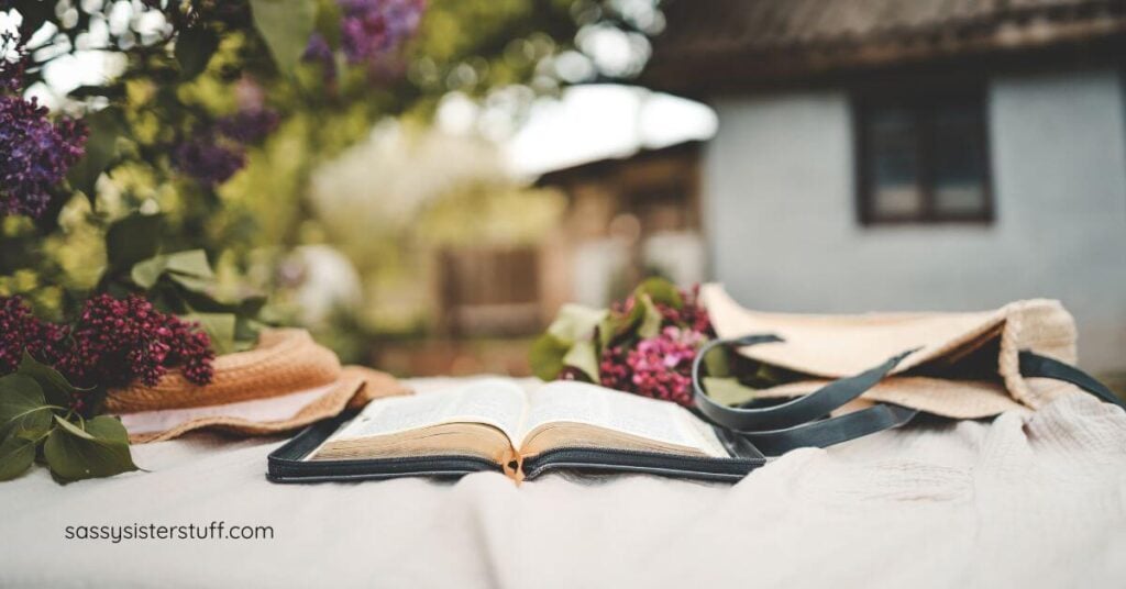 close-up of an open book, berries, and a handbag on a table in a relaxing setting.